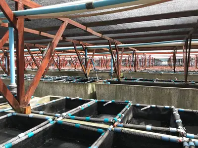 a building under construction with ropes around it at Sixteen Guesthouse on Main in Hermanus