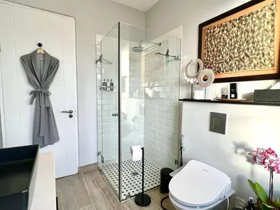 a bathroom with a shower and a toilet at Rainbow Residence in Franschhoek
