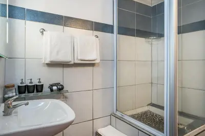 a bathroom with a shower and a sink at Oude Wellington Estate in Wellington