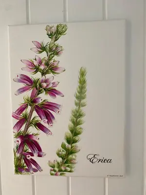 a painting of a flower and a plant at Shore's Edge Luxury Oceanfront Home in Hermanus