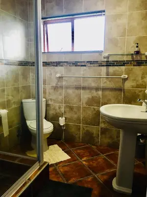 a bathroom with a toilet and a sink at Witzenberg Guest Farm in Wolseley