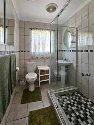 a bathroom with a shower and a toilet and a sink at Northern Vine Guesthouse B&B Self-catering in Brackenfell