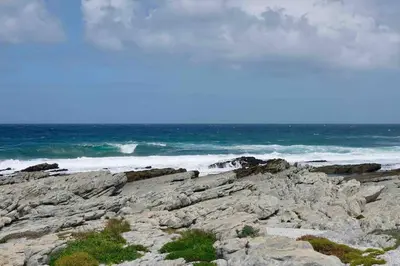 a group of rocks on the shore of the ocean at Whales & Waves in Hermanus