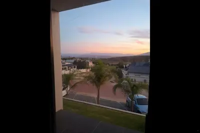 a view of a palm tree from a window at Eagle's Crest in Worcester