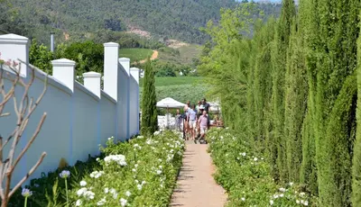 people walking down a path through a garden with white flowers at Val Du Charron Wine & Leisure Estate in Wellington