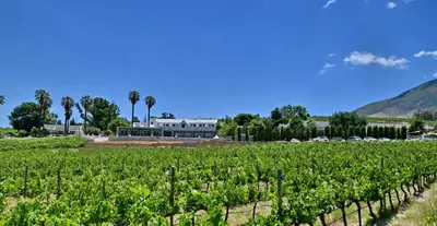 a field of vines with a building in the background at Val Du Charron Wine & Leisure Estate in Wellington