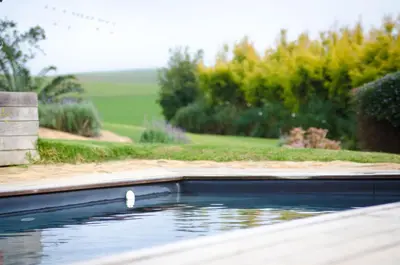 a swimming pool with a bird in the water at Rouxwil Country House in Caledon