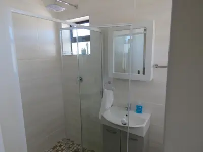 a bathroom with a sink and a glass shower at Steenbok House in Hermanus