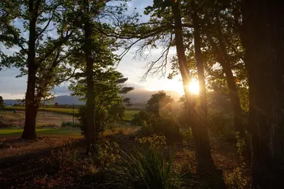 a sunset through the trees in a field at Elgin Vintners Country House in Elgin