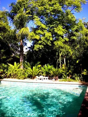 a pool of blue water in front of some trees at MAVILLA STELLENBOSCH B&B in Stellenbosch