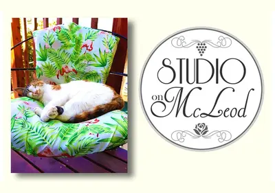 a cat laying on a chair with a sign that reads studio needed at Studio on McLeod - Private Self-catering Apartment in Somerset West