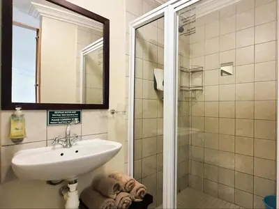a bathroom with a sink and a shower at Cummings Guesthouse in Wellington