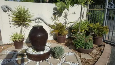 a group of potted plants on a table with a vase at Angel's Corner in Cape Town