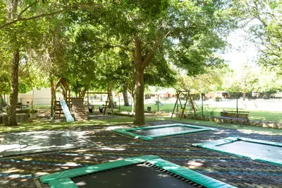 two trays in a park with trees and a playground at De Hollandsche Molen in Hou Moed
