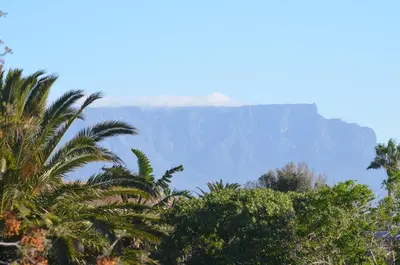 a view of the grand canyon from the trees at Whale Tale near Kite Beach in Cape Town