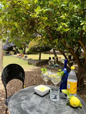 a table with a plate and wine glasses on it at Staymore in Stellenbosch