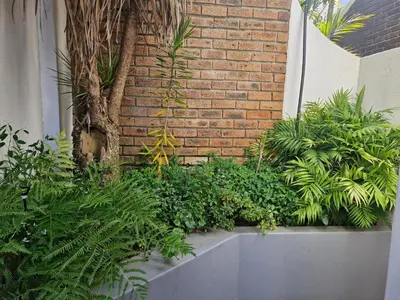 a garden with plants and a brick wall at Mountain Rose Cottage in Bellville
