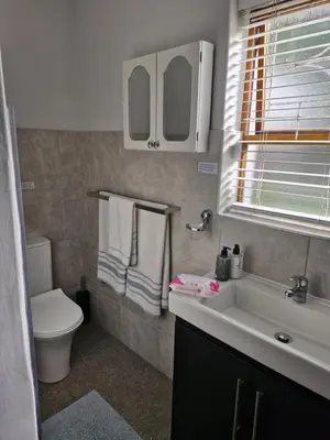 a bathroom with a sink and a toilet and mirrors at Mountain Rose Cottage in Bellville
