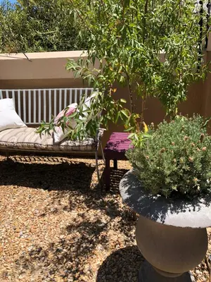 a garden with a bench and a tree and a table at Flavours at 34 in Gordonʼs Bay