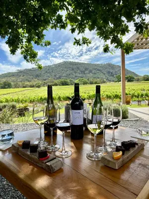 a table with two bottles of wine and glasses at Lynx Wine Estate in Franschhoek