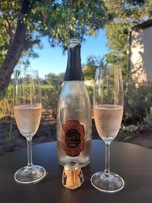 two glasses and a bottle of wine on a table at Lynx Wine Estate in Franschhoek