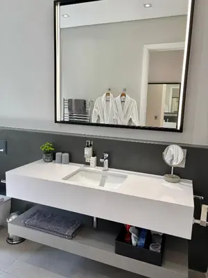 a bathroom with a white sink and a large mirror at Lynx Wine Estate in Franschhoek