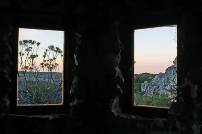 two windows in a stone building looking out at a tree at The Volmoed Trust in Hermanus