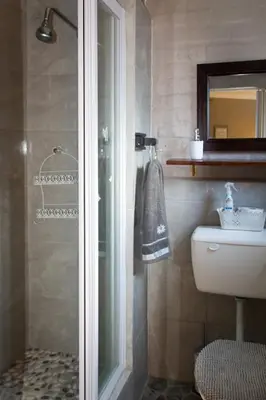 a bathroom with a shower and a toilet and a sink at The Vintage Crane Guest House in Caledon