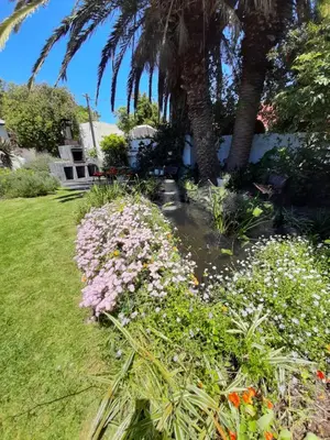 a garden with pink flowers and a pond at Canberra on Greenwood in Cape Town