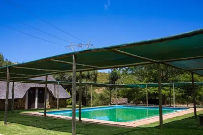 a swimming pool under a large green canopy at Steenbok farm cottages Aalwyn Cottage in Wolseley