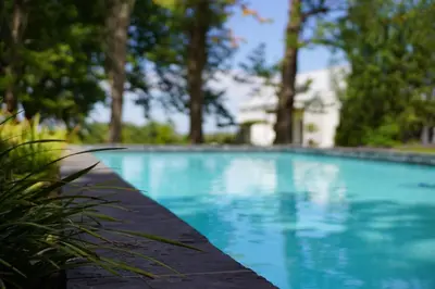 a blue swimming pool with trees in the background at Klein Welmoed Luxury Guest House in Stellenbosch