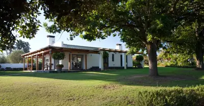 a house with a tree in the yard at Klein Welmoed Luxury Guest House in Stellenbosch
