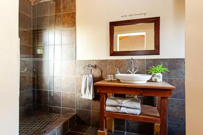 a bathroom with a sink and a shower at Vergenoegd in Brandwacht