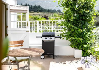 a grill on a patio with a plant at Hemel 'N Aarde Stud in Hermanus