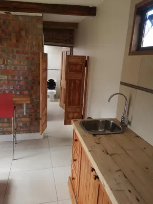 a kitchen with a sink and a brick wall at Bona Lodge in Cape Town
