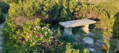 a bench sitting in the middle of a garden at The Amaryllis Luxury Apartment Bella Donna in Bettyʼs Bay
