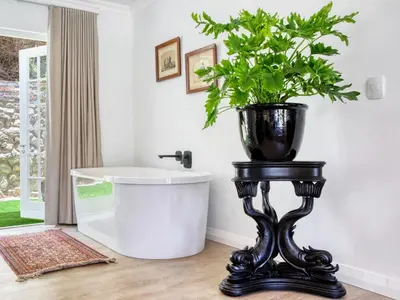 a plant on a stand in a bathroom with a tub at Maison Montagne in Franschhoek