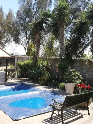 a swimming pool with a bench and palm trees at sunny get away for a family of 4 in Cape Town