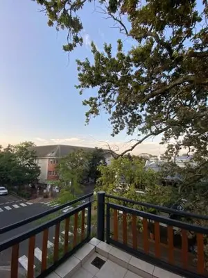 a balcony with a black fence and a tree at Lemon Rind - 205 Oude Hoek in Stellenbosch