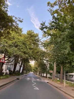 an empty street with trees on the side of the road at Lemon Rind - 205 Oude Hoek in Stellenbosch