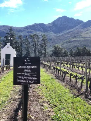 a sign in a vineyard with mountains in the background at The Vineyard Cottage by L' Amitie Estate in Franschhoek