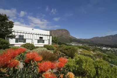 a white building with flowers in front of a mountain at The Vineyard Cottage by L' Amitie Estate in Franschhoek