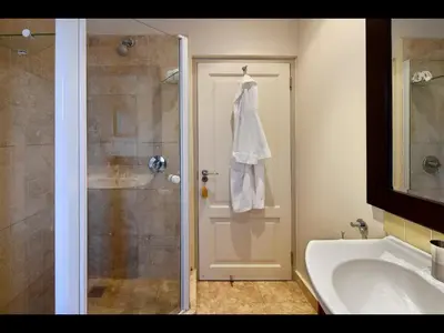 a bathroom with a shower and a sink at Sorbonne 1 - No loadshedding in Franschhoek