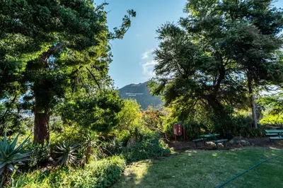a garden with trees and a mountain in the background at ATKV Goudini Spa in Rawsonville