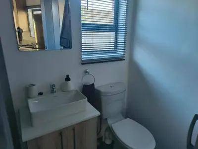 a bathroom with a sink and a toilet and a mirror at Sir James Self Catering in Cape Town