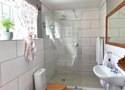 a bathroom with a shower and a sink at La Rochelle in Wellington