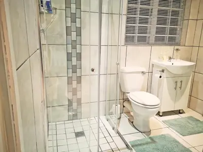 a bathroom with a shower and a toilet and a sink at Summer House in Hermanus