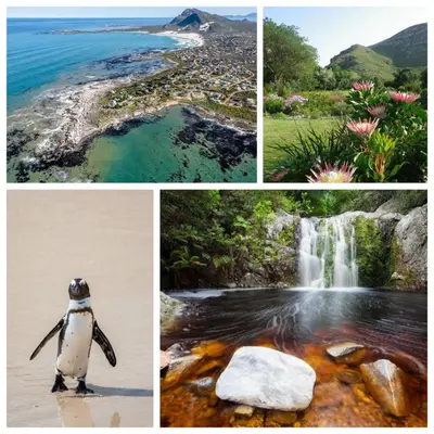 a collage of photos with a penguin and a waterfall at Silverdunes - GardenView in Bettyʼs Bay