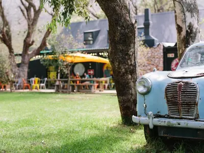 an old blue car parked next to a tree at PitStop Lodge in Gordonʼs Bay