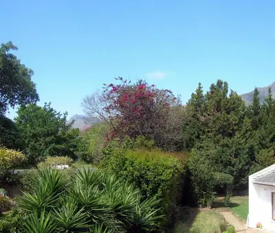a garden with trees and bushes and a house at 16 Rhodes-North Self Catering Apartment & Studio in Stellenbosch
